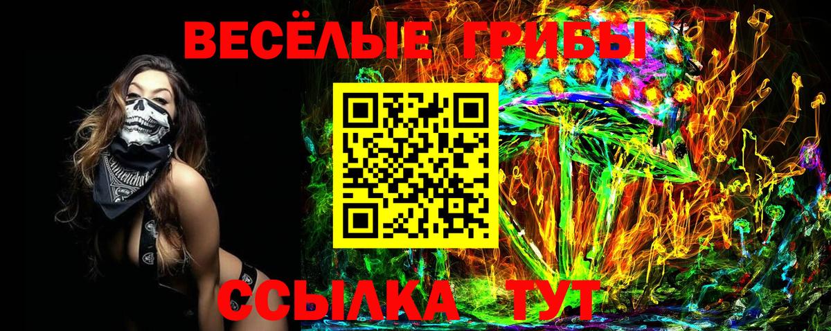 Галлюциногенные грибы Magic Shrooms Барабинск